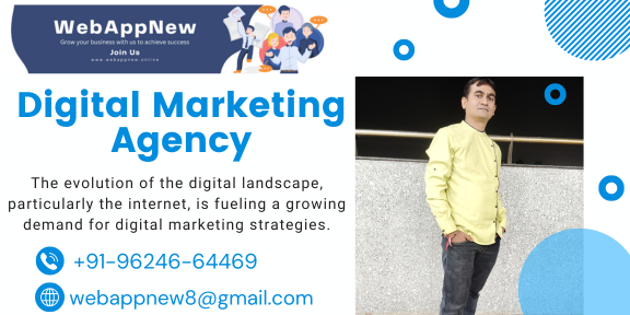 Digital Marketing Agency Navigating the Growing Demand for Online Strategies