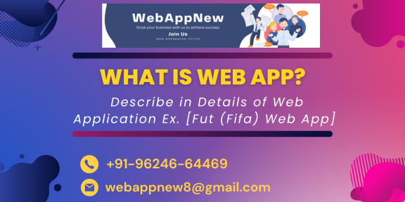 What is Web App Describe in Details of Web Application Ex. [Fut (Fifa) Web App]